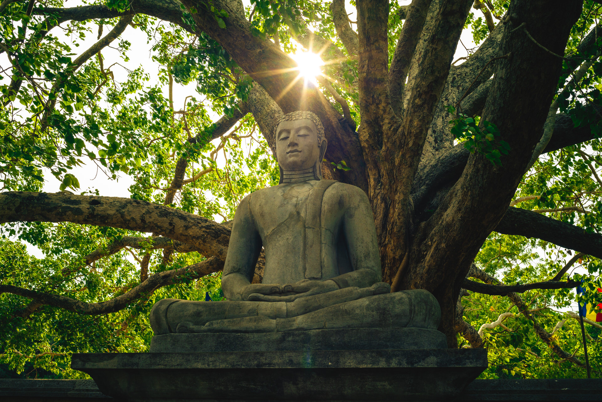 Statua del Buddha all'Abhayagiri Dagoba stupa di Anuradhapura, Sri Lanka